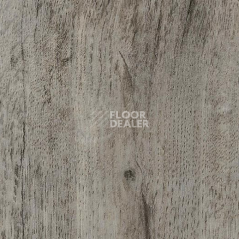 Кварцвиниловые полы Forbo Effekta Professional 0.45 4101 P Winter Harvest Oak PRO фото 1 | FLOORDEALER